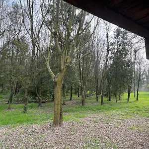 https://green-woods.hotelinveneto.com